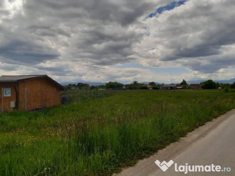 Teren intravilan construibil utilitati asfalt Lunca Calnicului 2325mp - 4