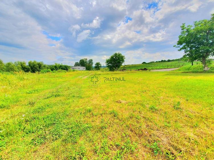 Teren intravilan 717 mp – Sura Mare, Sibiu - 2