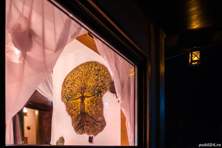 Tiny House Romanesc - 1