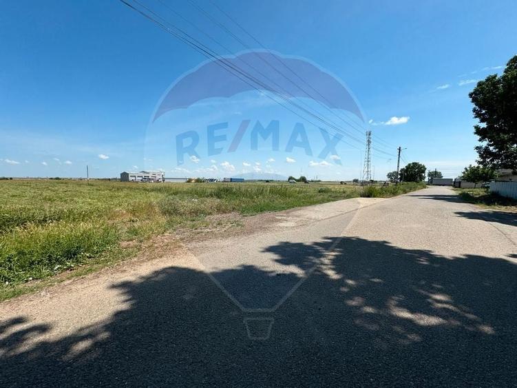 Teren 11404 m2 , Biharia la 1km de autostrada A3 si 300m de centura - 4