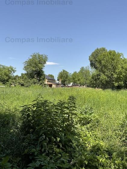 Casa la tara, cu dependinte si gradina - 3