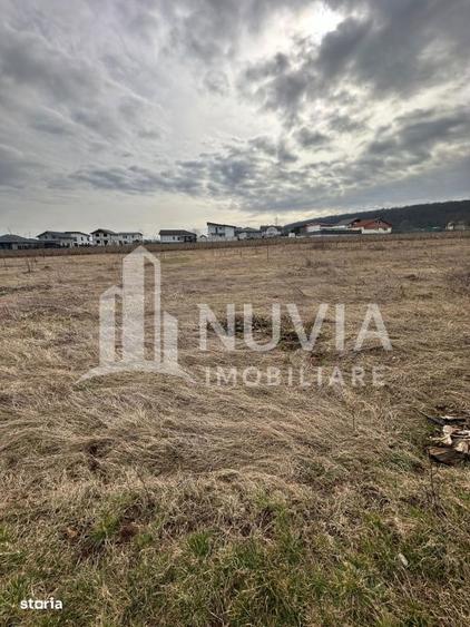 Teren intravilan cu AUTORIZATIE DE CONTRUCTIE, zona Penny Micesti, 550 - 2