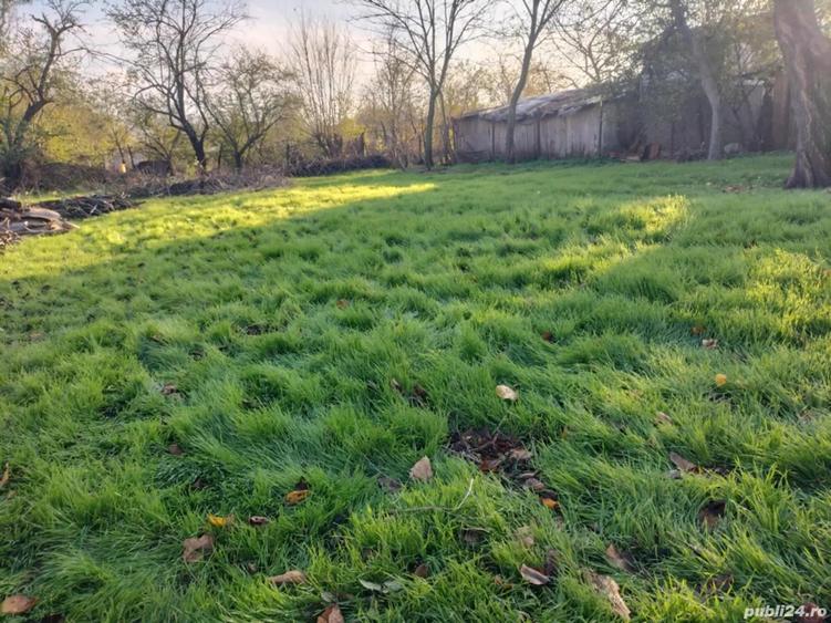 Vand casa in comuna Cioranii de Sus - Prahova, 34 m deschidere, teren 1000 m, toate utilitatile - 4