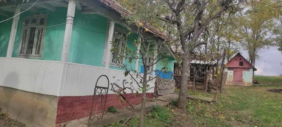 Casa si teren 2100 m2, 25000 euro - 2