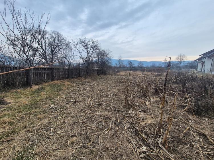 Casă de vânzare – Zona Agarcia, județul Neamț - 7