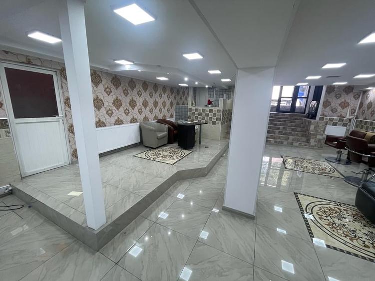 Brancoveanu-Nitu Vasile | Casa Individuala- D+P+1+M - 6