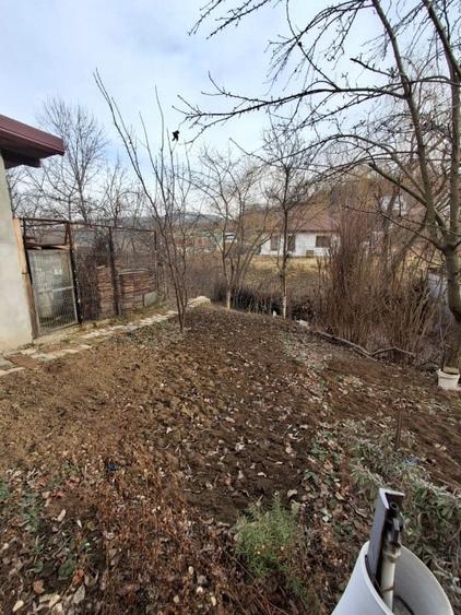 CASA INDIVIDUALA  in sat VLADICENI com. TOMESTI - 3