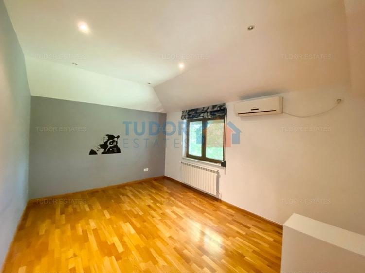 Vila cu piscina Iancu Nicolae - 18