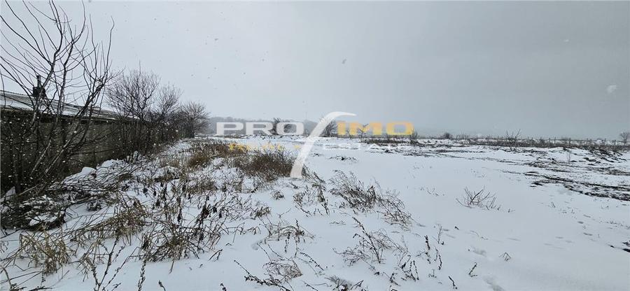 Teren 600mp. curs constructii, Utilitati, Palazu Mare, str.Spicului - 4