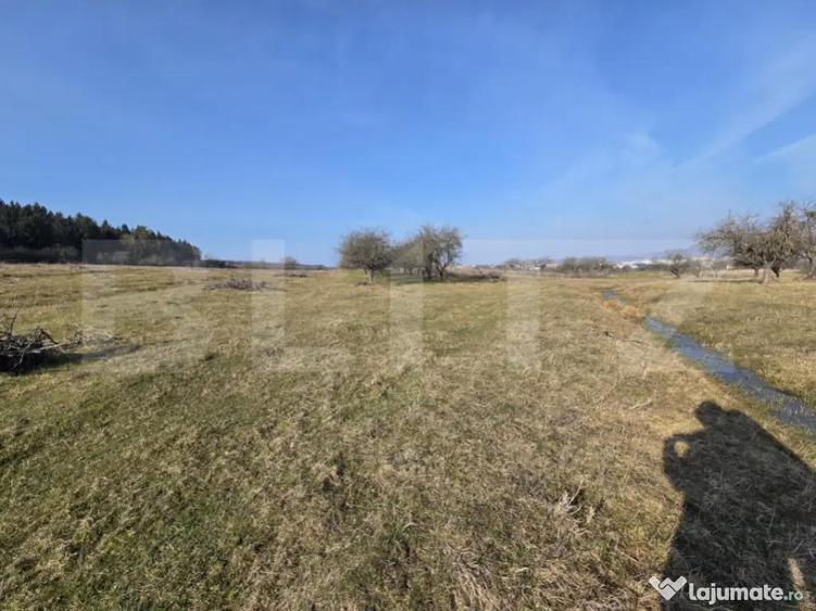 Teren intravilan de vanzare 4.200 mp Zona Restauran - 1