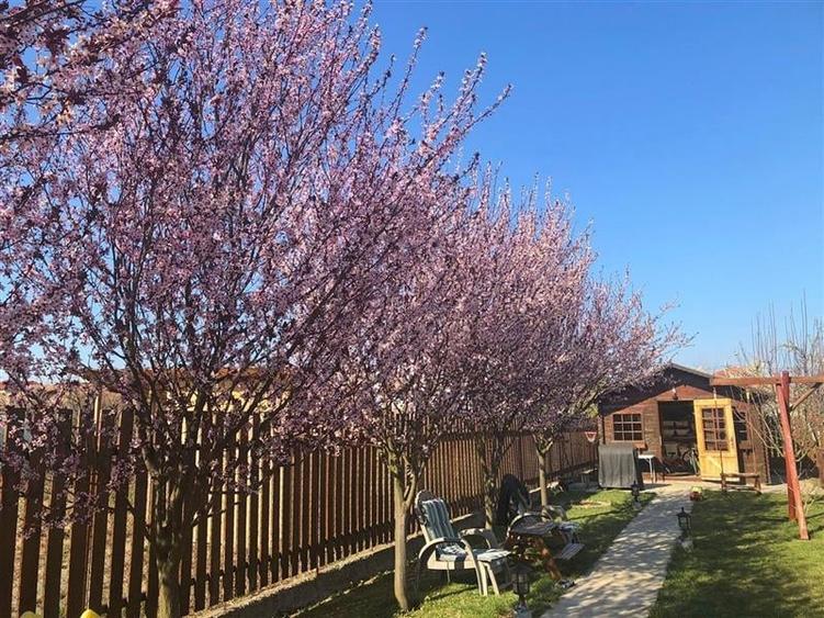 COMISION 0% Casa Individuala mobilata si utilata in Giarmata Vii - 24