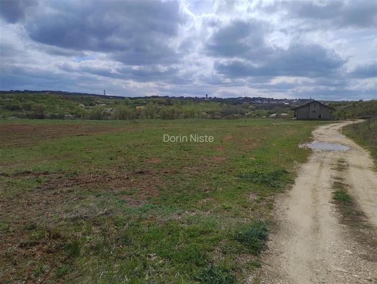 RECO Teren intravilan, Paleu