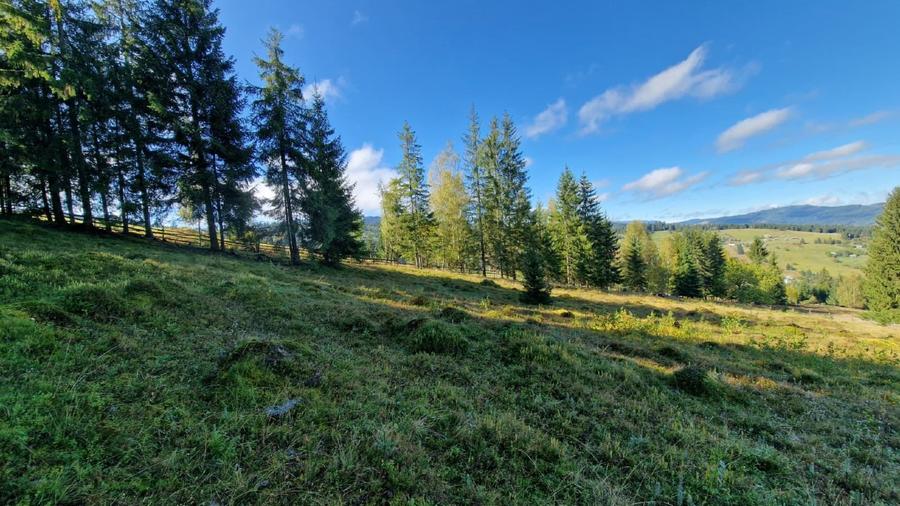 Teren intravilan in Bucovina, Dorna Arini - 11