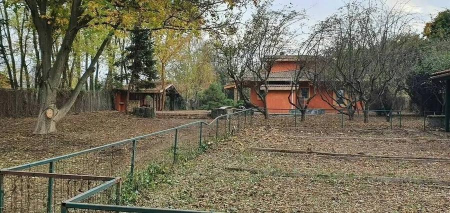 Teren cu Casa BONUS deschidere la Lacul Snagov - 11