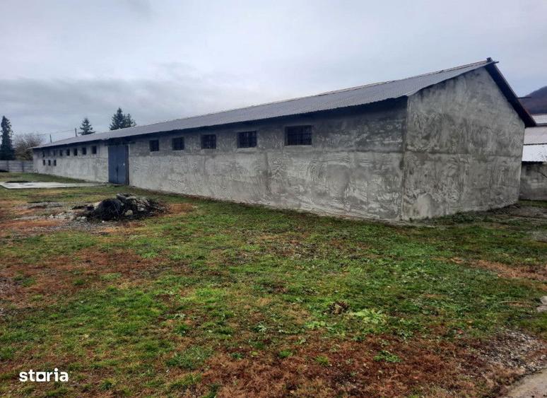 Spatiu comercial Ocol , 720 metri Cod:148594 - 3