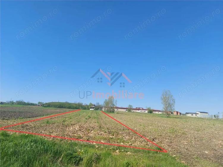 TEREN INTRAVILAN | 4300 MP | HIDISELUL DE SUS | BIHOR - 7