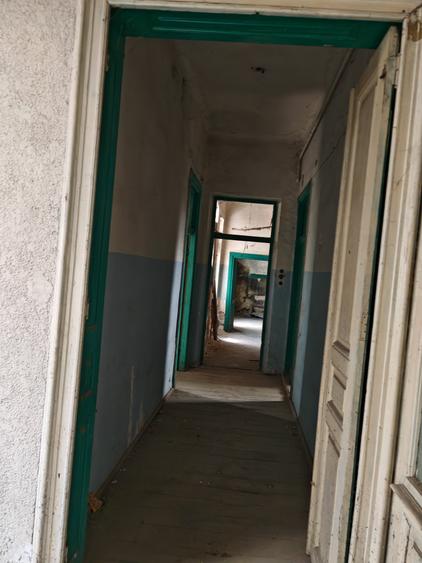 VANZARE CASE VILE GRADINA ICOANEI - 2