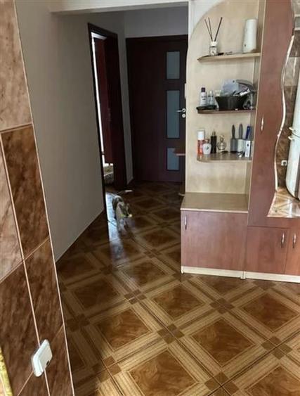 Vanzare Apartament 3 Camere Decomandat Giurgiului-Aleea Dolina - 3