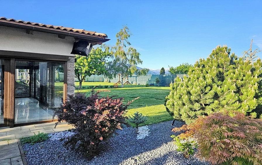 Structura Generoasa Zona Linistita - 7