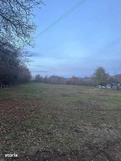 Campina - teren intravilan 5262mp - 150000 Euro - 1