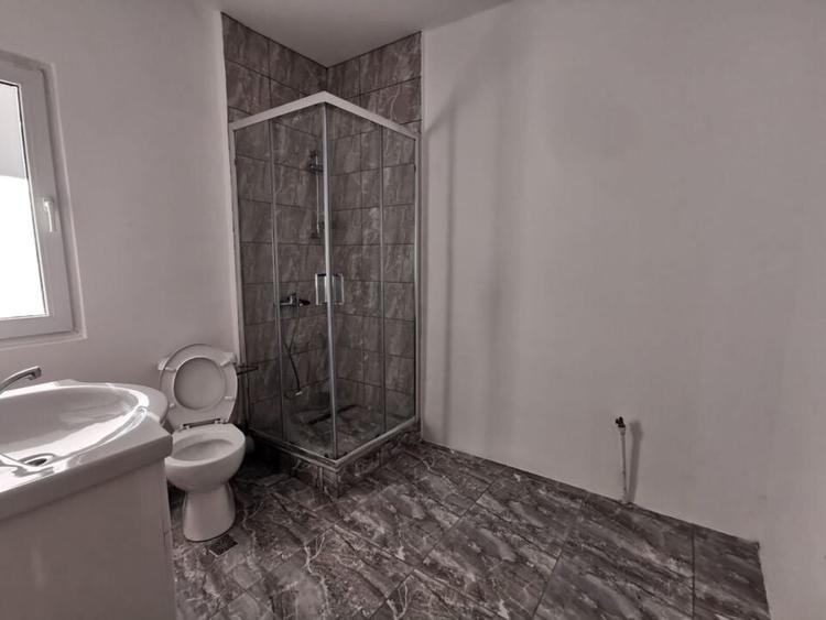 Dobroesti 5 Camere Vila La Curte - 9