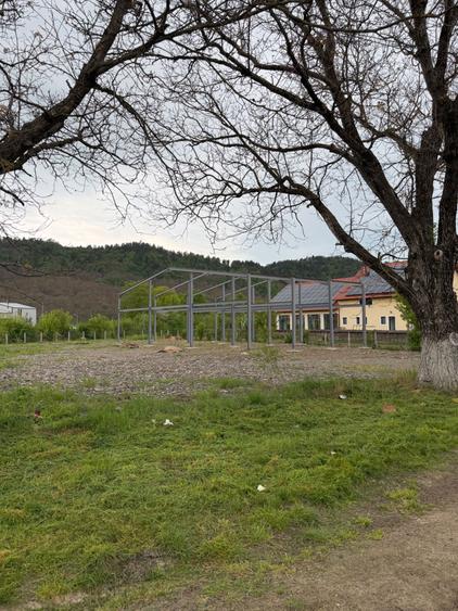 Teren stradal 1000 mp cu hala - 1