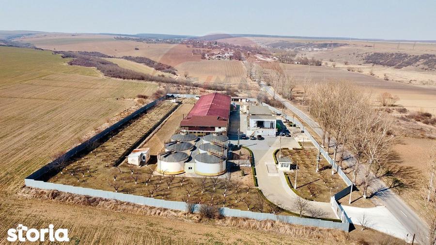 Crama Buciumeni - 2