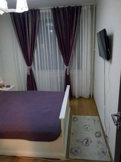 Teiul Doamnei, Doamna Ghica - 6