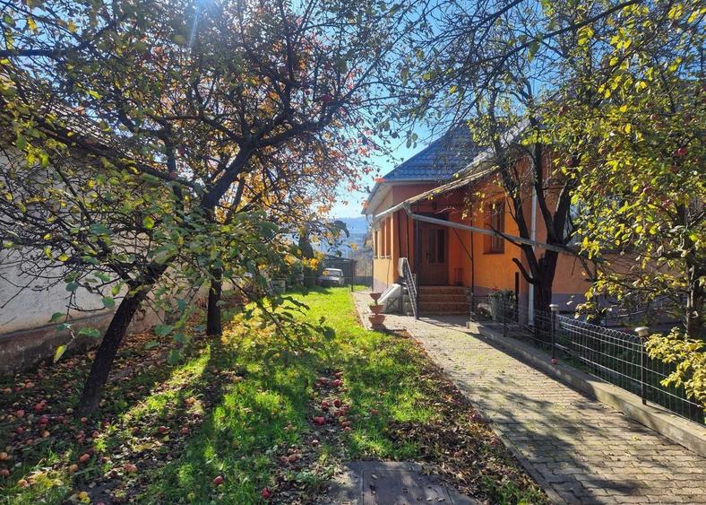 TEREN /CASA DE VANZARE , 1.580 , AVRAM IANCU - 2