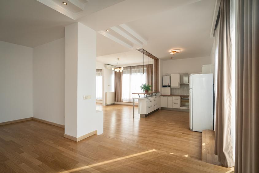 Penthouse - Herastrau - 6