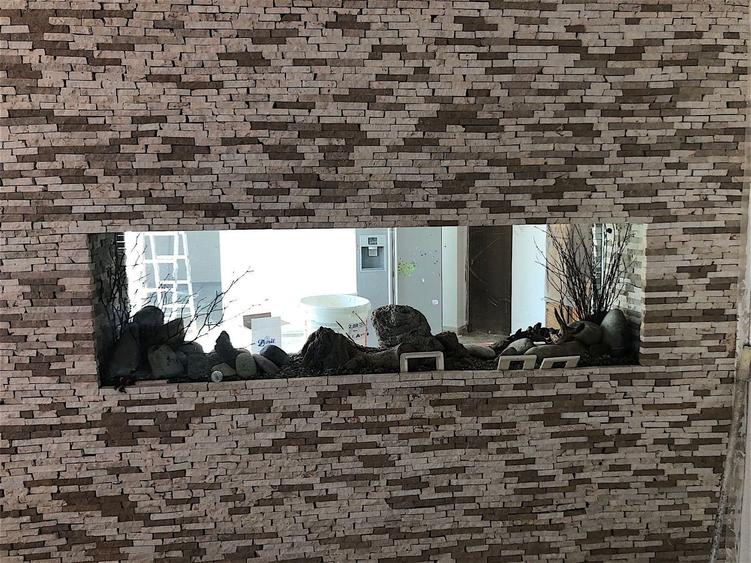 Casa zona Cetatii de locuit sau birouri - 14