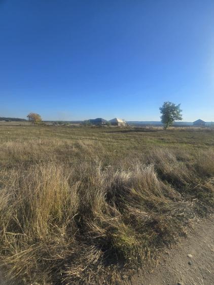 Teren 1000mp ,la intrarea in Filiasi - 5