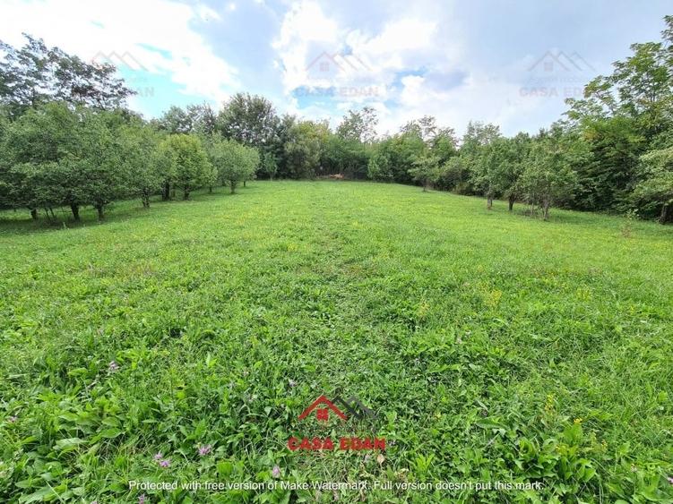 ●Teren intravilan in Poiana Campina,zona retrasa,3287 mp,10e● - 6