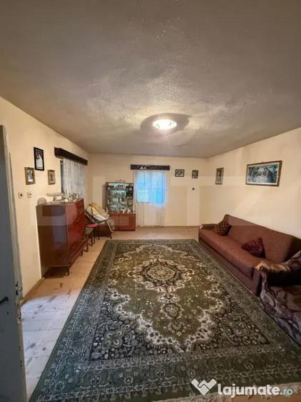 Proprietate completa in Sacuieni- Doua Case + Anexe - 6