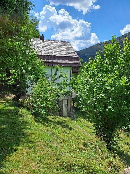 Vand cabana in Valea Ierii, zona linistita si cu vedere spectaculoasa - 8