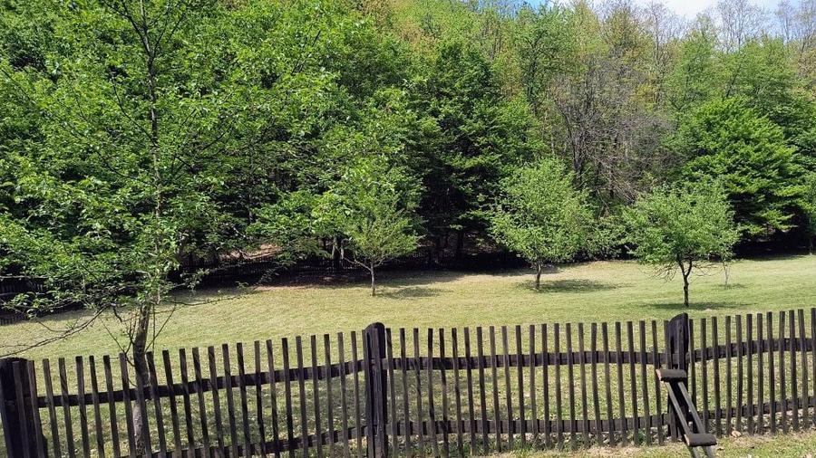 De vanzare teren 1800mp - 8