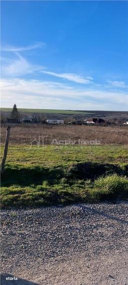Teren TOP 1400mp 18ml stradal Vanatori (Odaia Manolache) - 4
