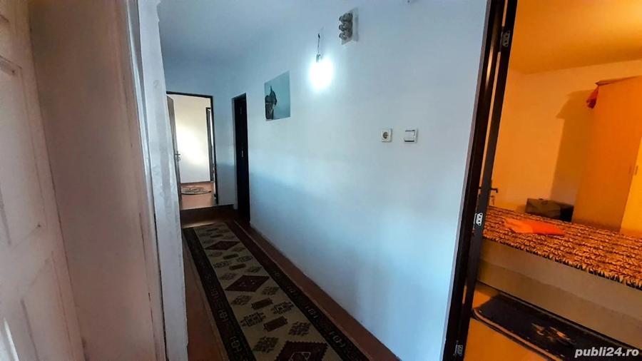 Gospodarie complet utilata si mobilata - 3