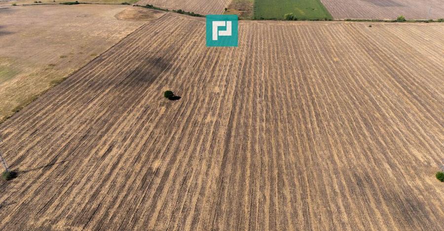 Teren extravilan, zona Freidorf-Sagului, Timisoara - 1