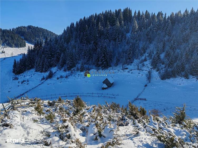 Teren Intravilan Fundata 1937 mp - 6