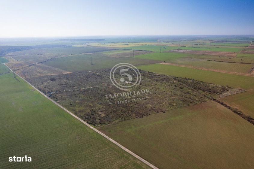 Ocazie- Teren Intravilan de Vanzare- Peris Snagov- Doar 10 euro/mp - 7