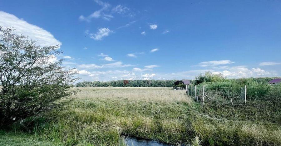 Teren Extravilan - 17