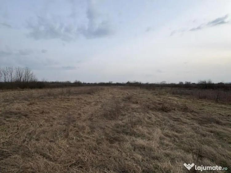 Teren intravilan 10.000 mp plan | Utilita?i in apropiere - 2