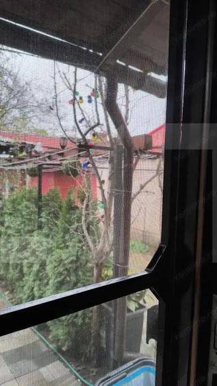 Casa,6 camere ,curte comuna in zona buna - 7