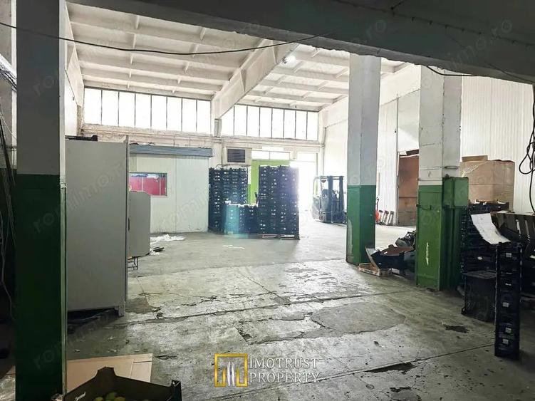 Hala industriala de inchiriat 760 mp, Arad (Gradiste/Sere) - 2