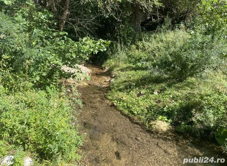 Casa de vanzare+terenuri - 2