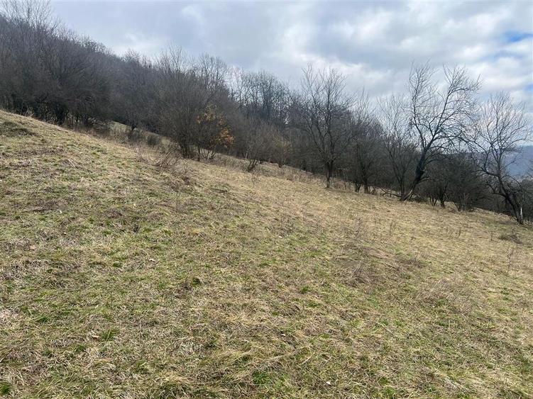 Teren intravilan si extravilan Luncoiu de Jos - 2