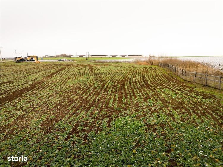 RECO . Teren extravilan 5000mp , 110ml front . - 2