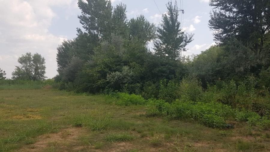 Splaiul Unirii-Pod Grigorescu , teren 2179 mp - 7