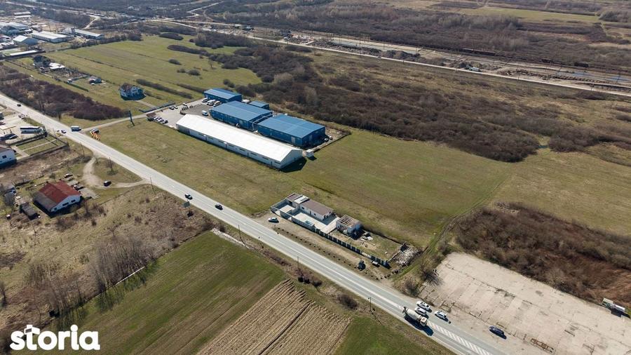 Teren extravilan de 7.000 mp langa Paltini? - 11